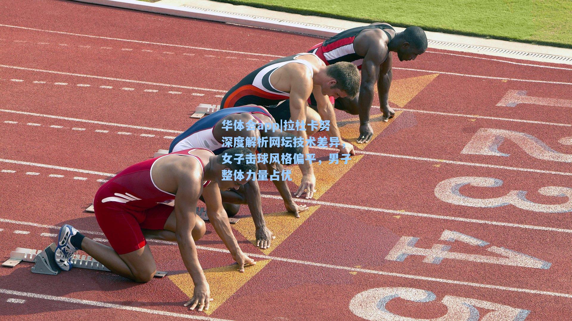 拉杜卡努深度解析网坛技术差异，女子击球风格偏平，男子整体力量占优